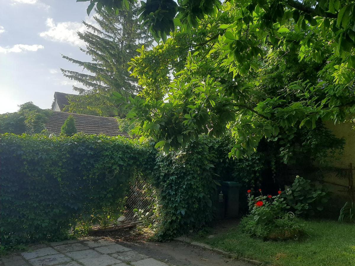 Pensiunea Magnolia Prejmer Dış mekan fotoğraf