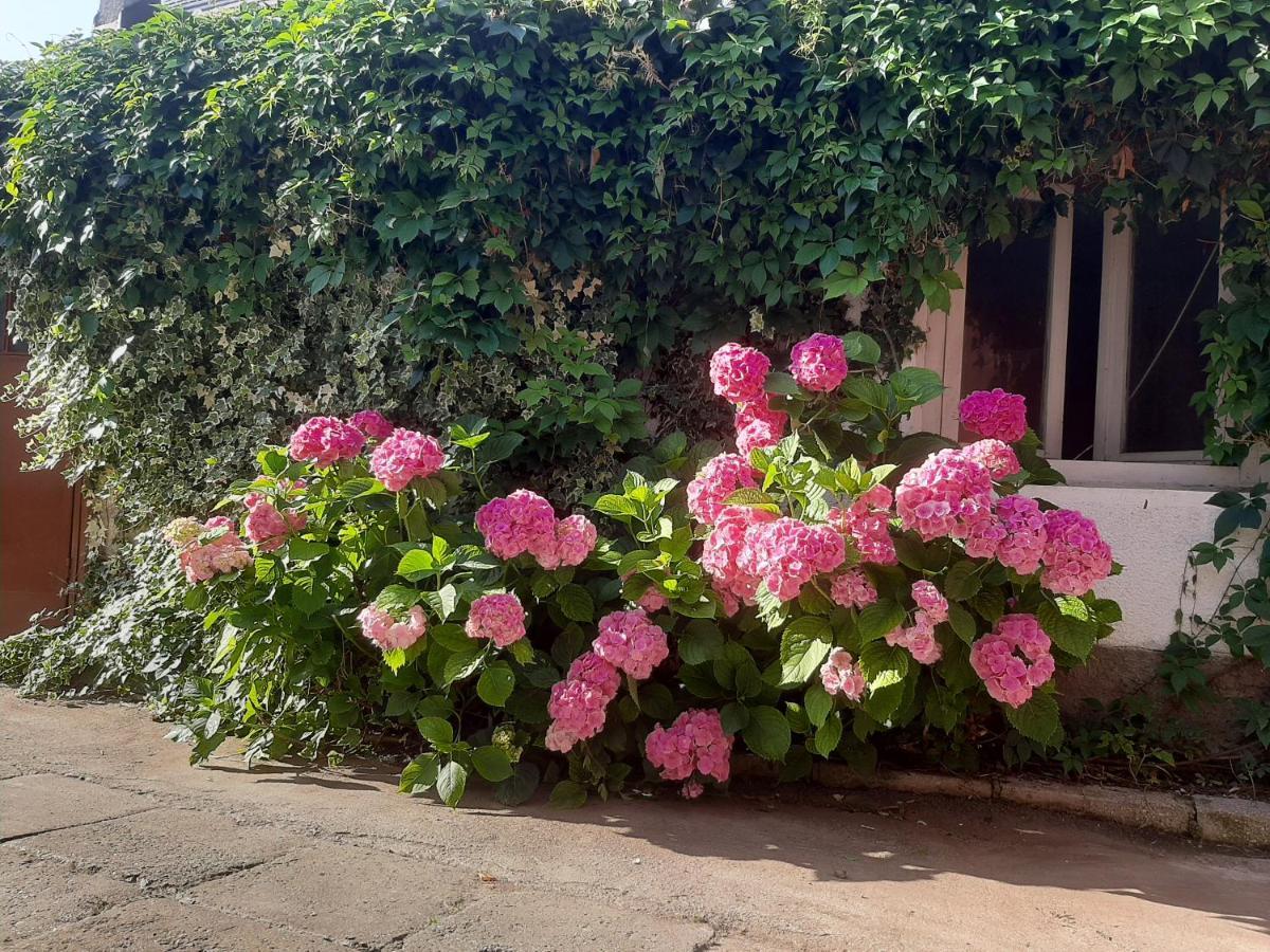 Pensiunea Magnolia Prejmer Dış mekan fotoğraf