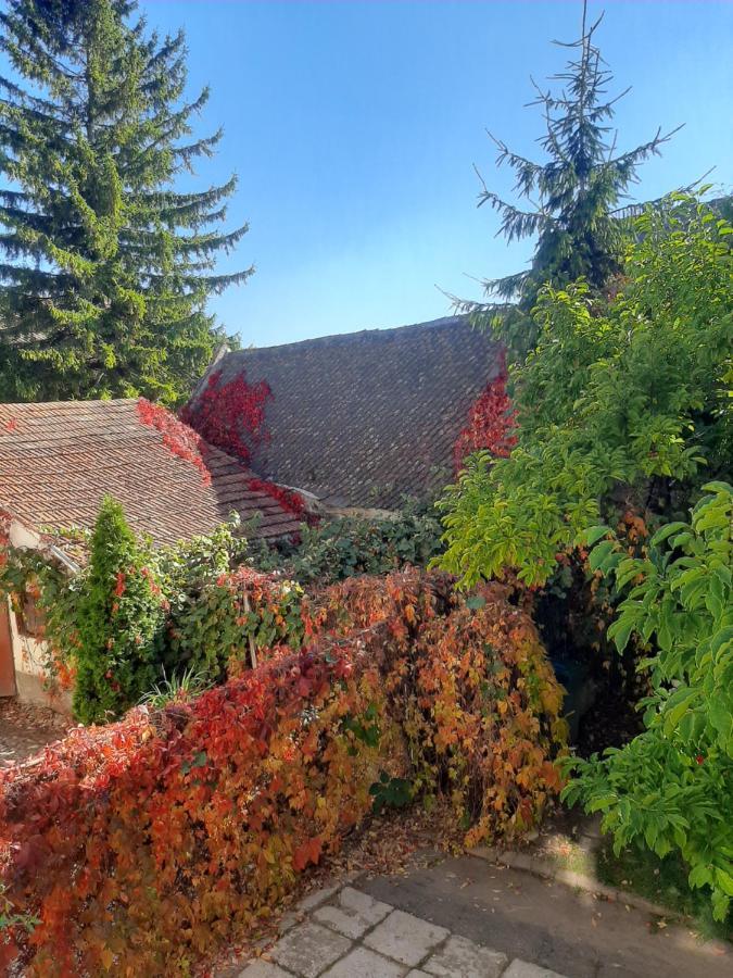 Pensiunea Magnolia Prejmer Dış mekan fotoğraf