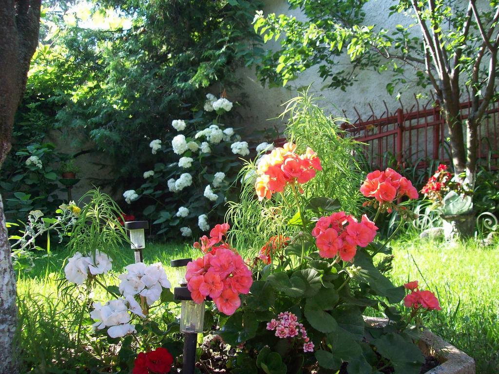 Pensiunea Magnolia Prejmer Dış mekan fotoğraf