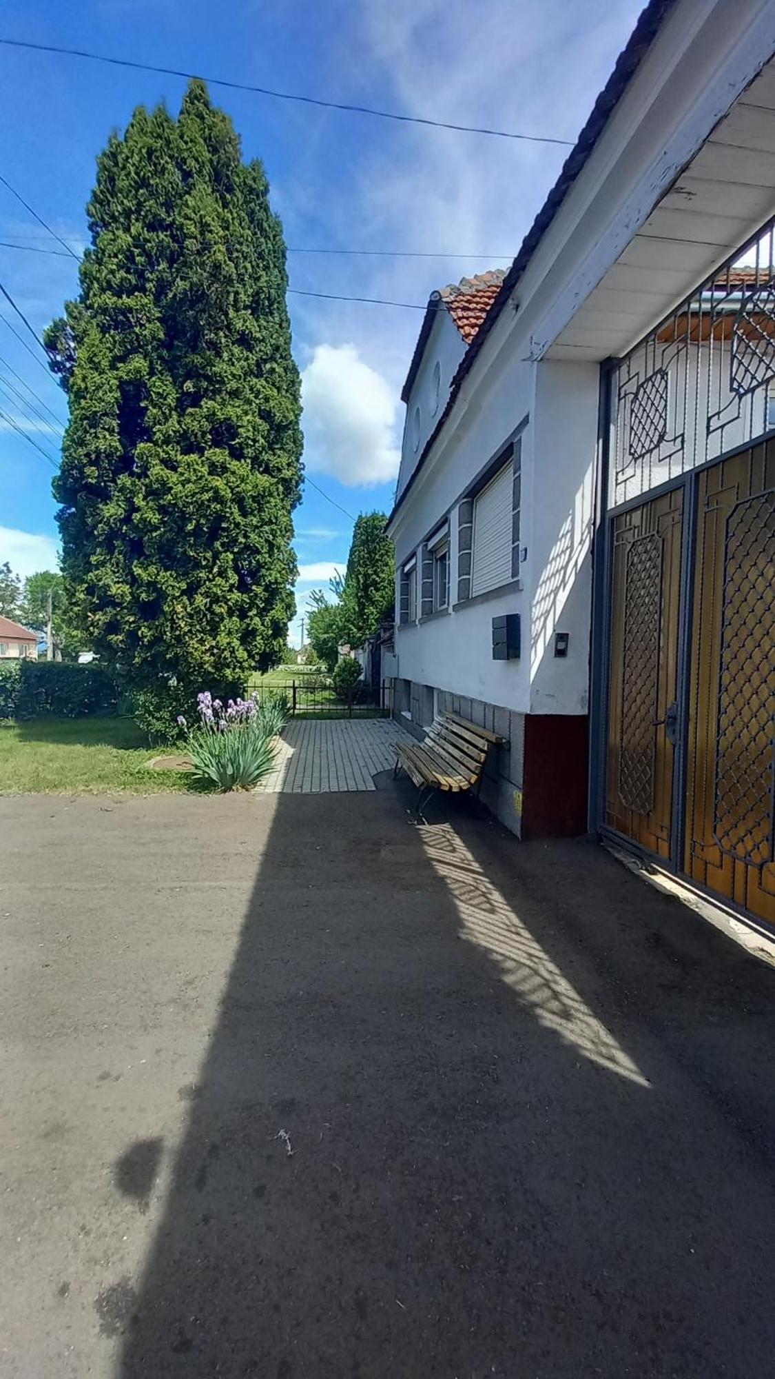 Pensiunea Magnolia Prejmer Dış mekan fotoğraf