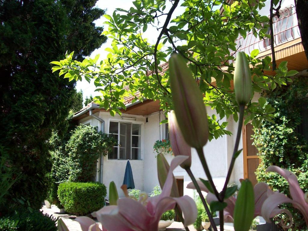 Pensiunea Magnolia Prejmer Dış mekan fotoğraf