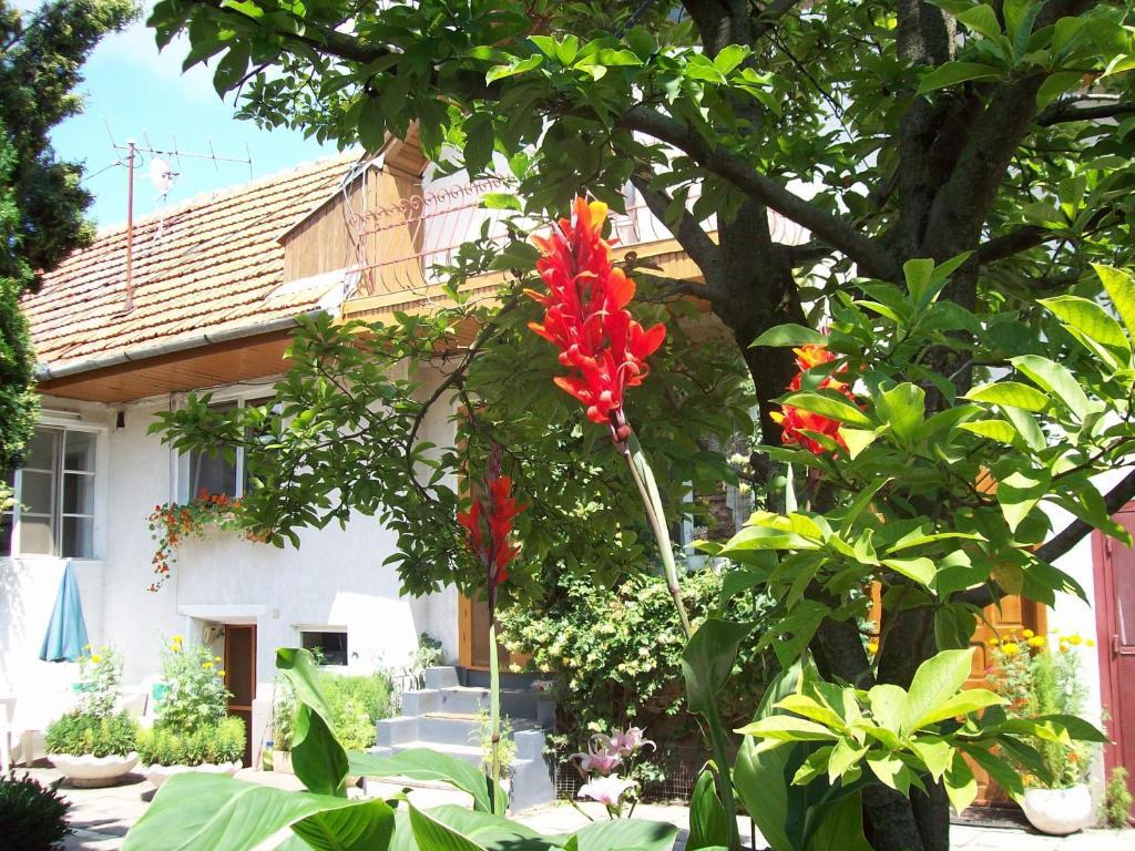 Pensiunea Magnolia Prejmer Dış mekan fotoğraf